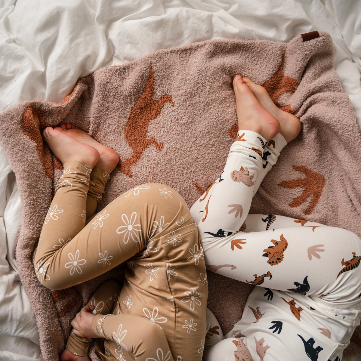 Plush Blankets - 30" x 40"| LE Prints: Desert-dinos
