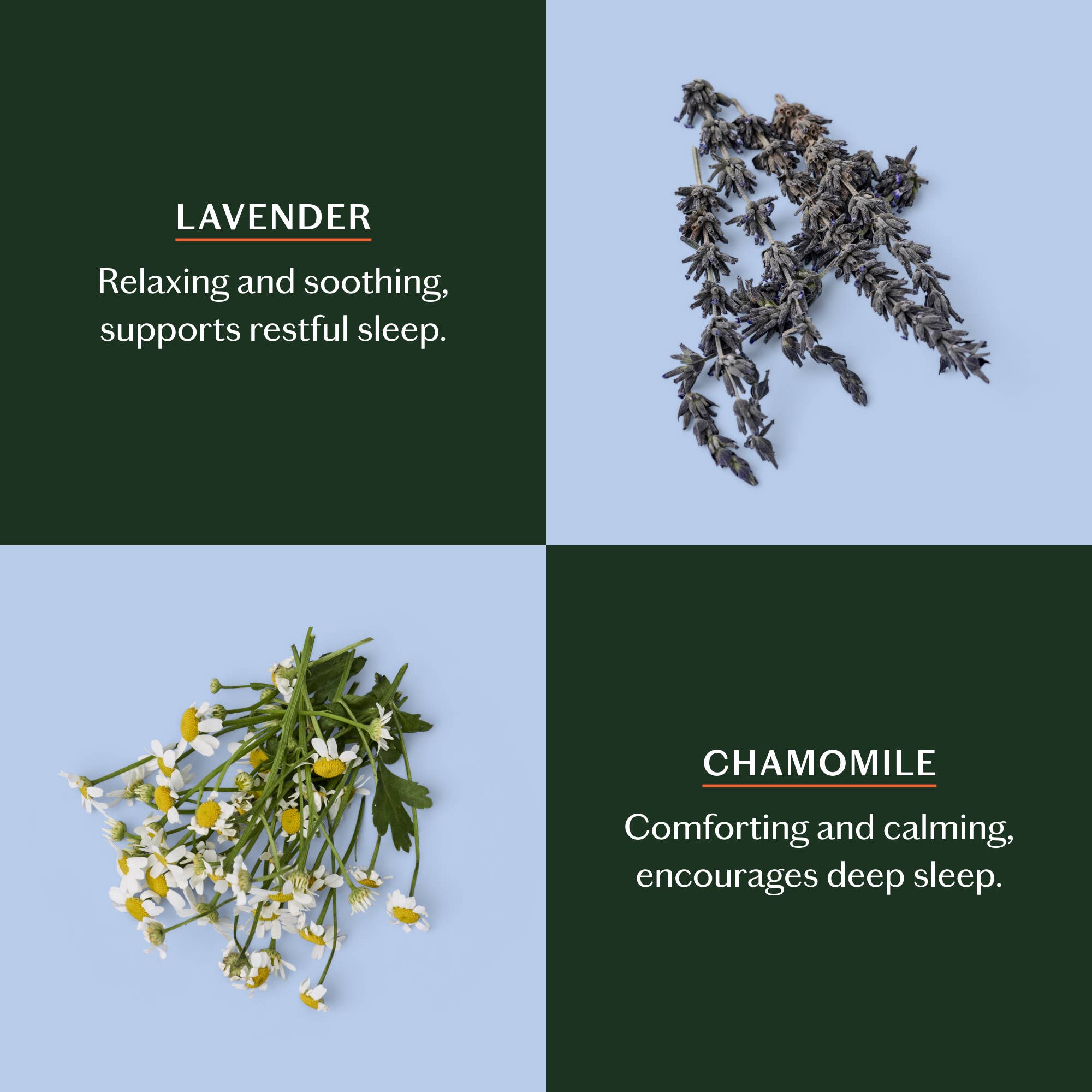 Sleep Stone | Deep Moisturizing Lotion Bar: Starter Kit (3.5 oz)