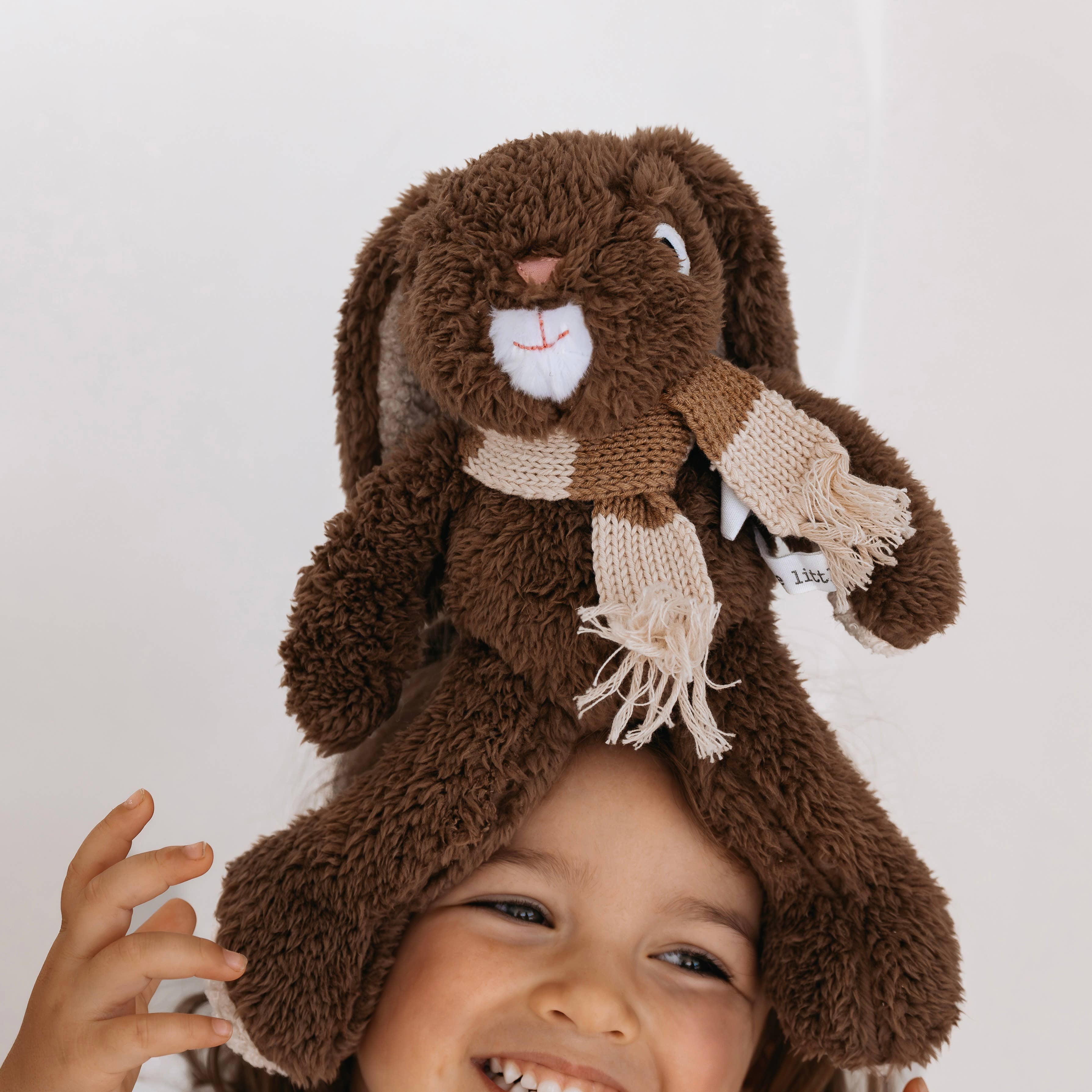 Frankie Rabbit - Medium