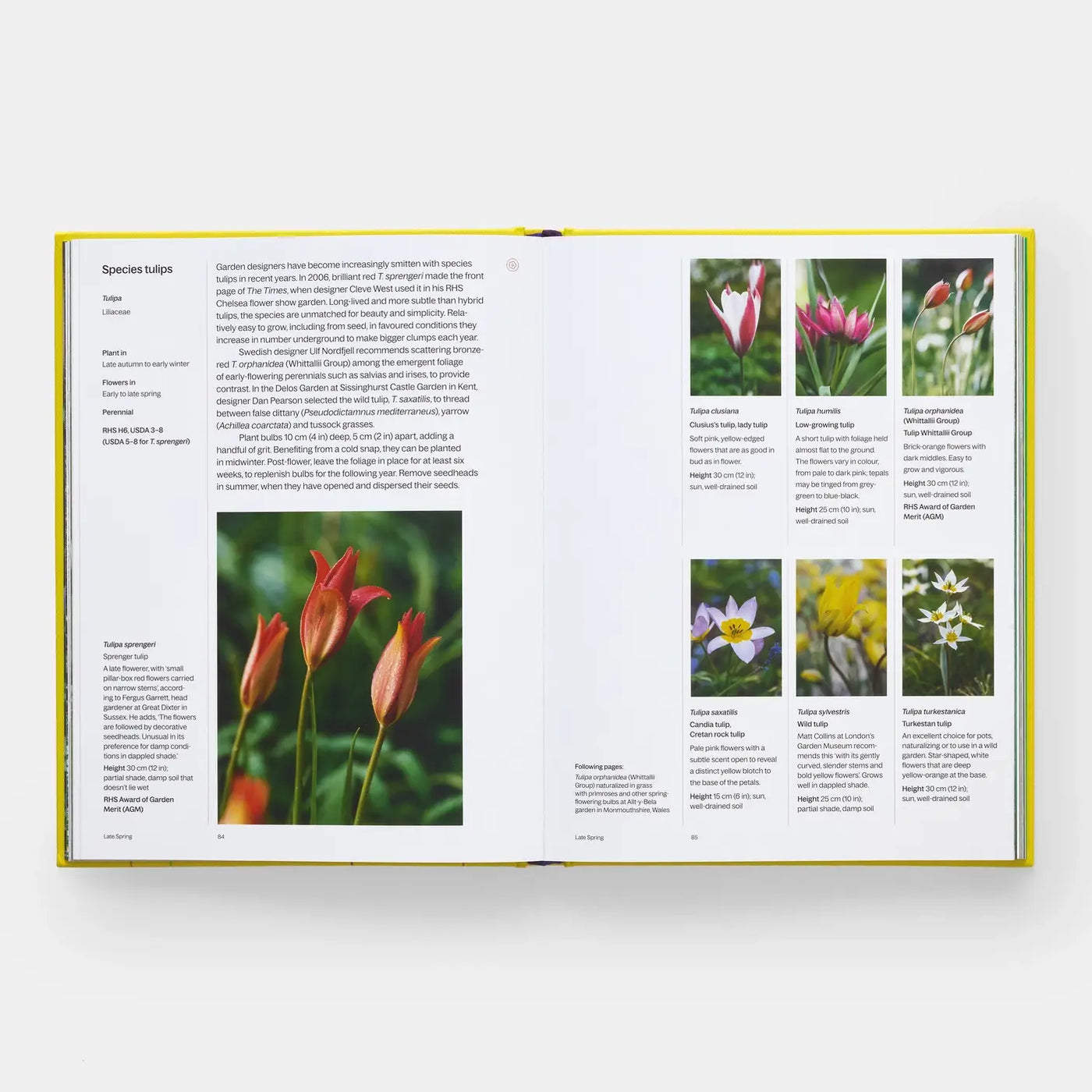 A Year In Bloom: Flowering Bulbs For Every Season (2024)