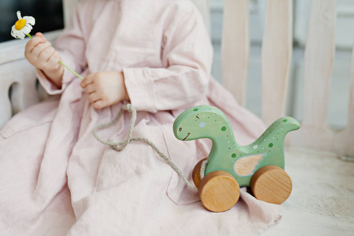 Wooden Dinosaur Pull Toy
