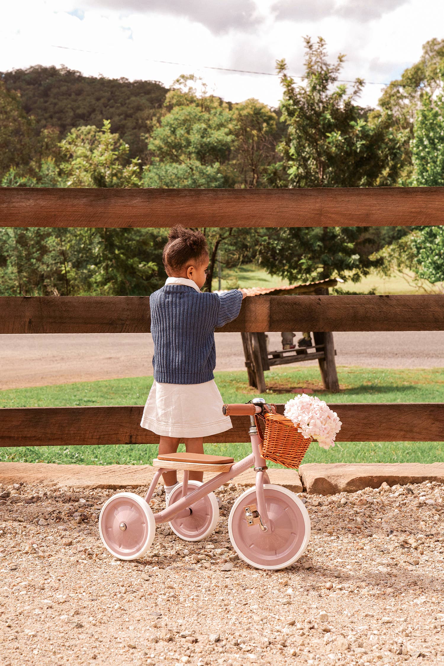 Banwood Vintage Trike - Dusty Pink