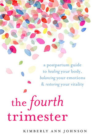 The Fourth Trimester by Kimberly Ann Johnson, cover