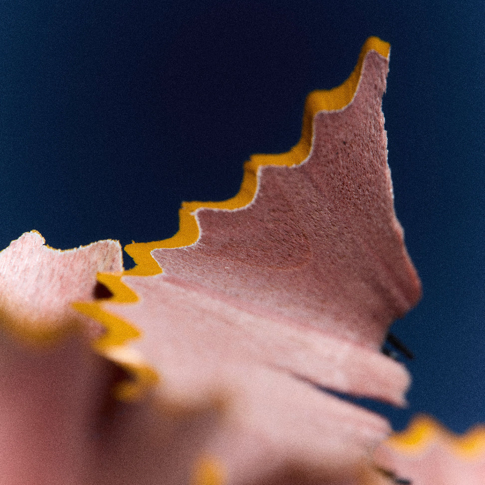 Pencil shavings, one of the notes in Architect's Daughter