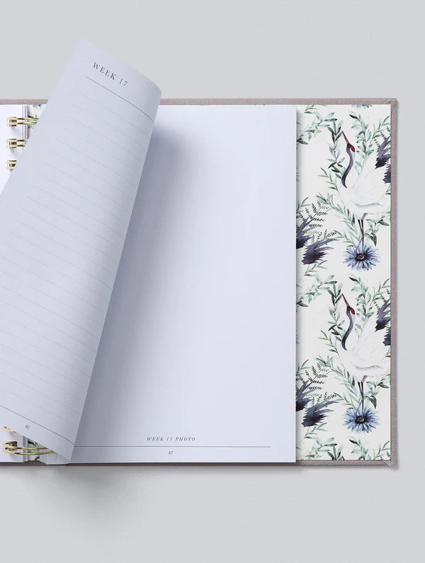 Bump. My Pregnancy Journal. Light Grey
