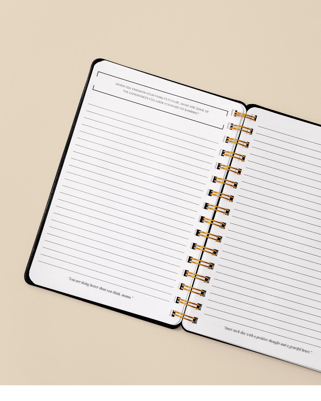 Postpartum Journal
