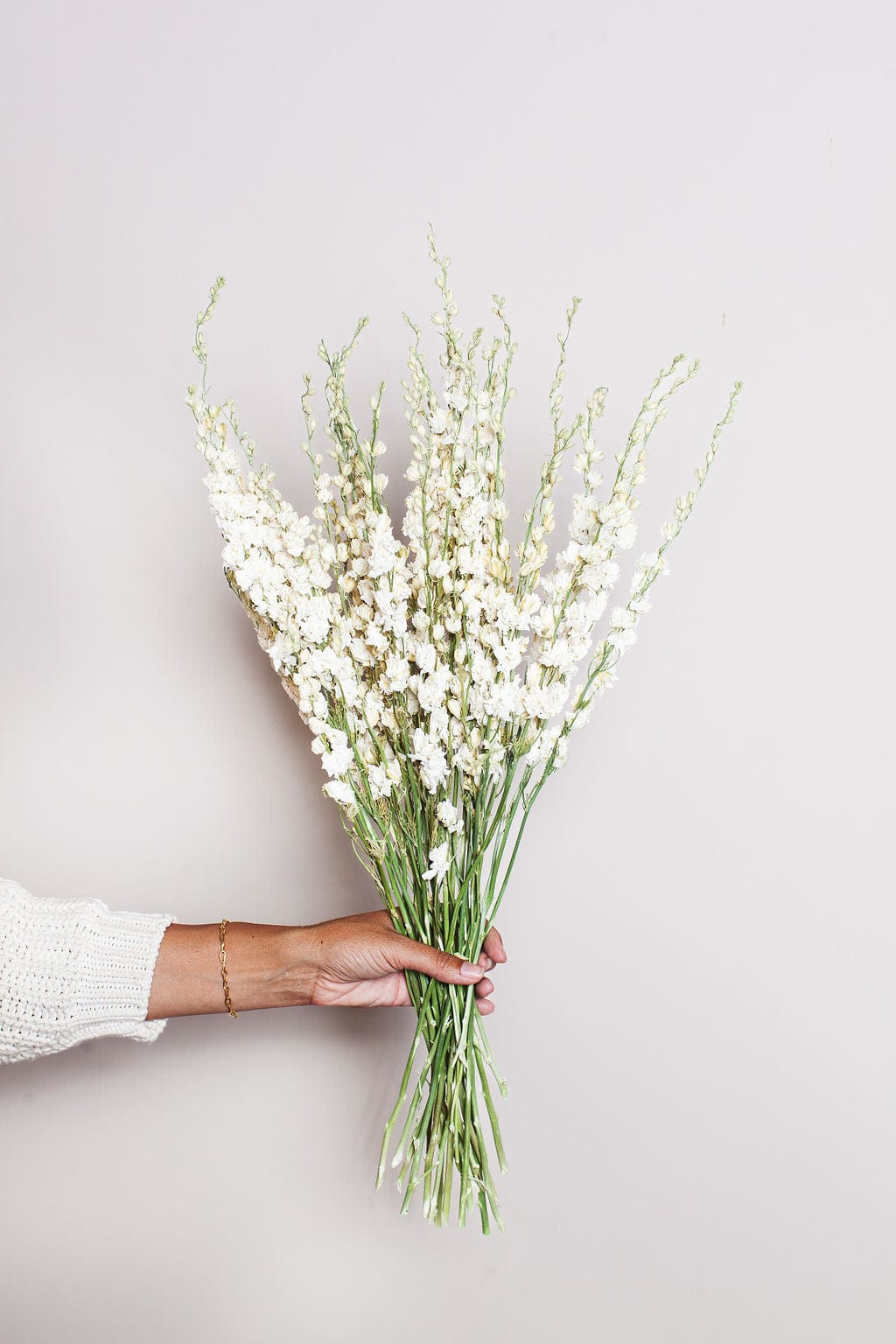 Dried cream larkspur, a bunch of tall cream stems