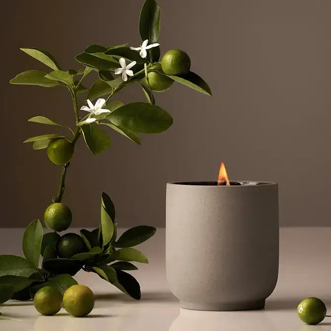 Signature Candle - Cece