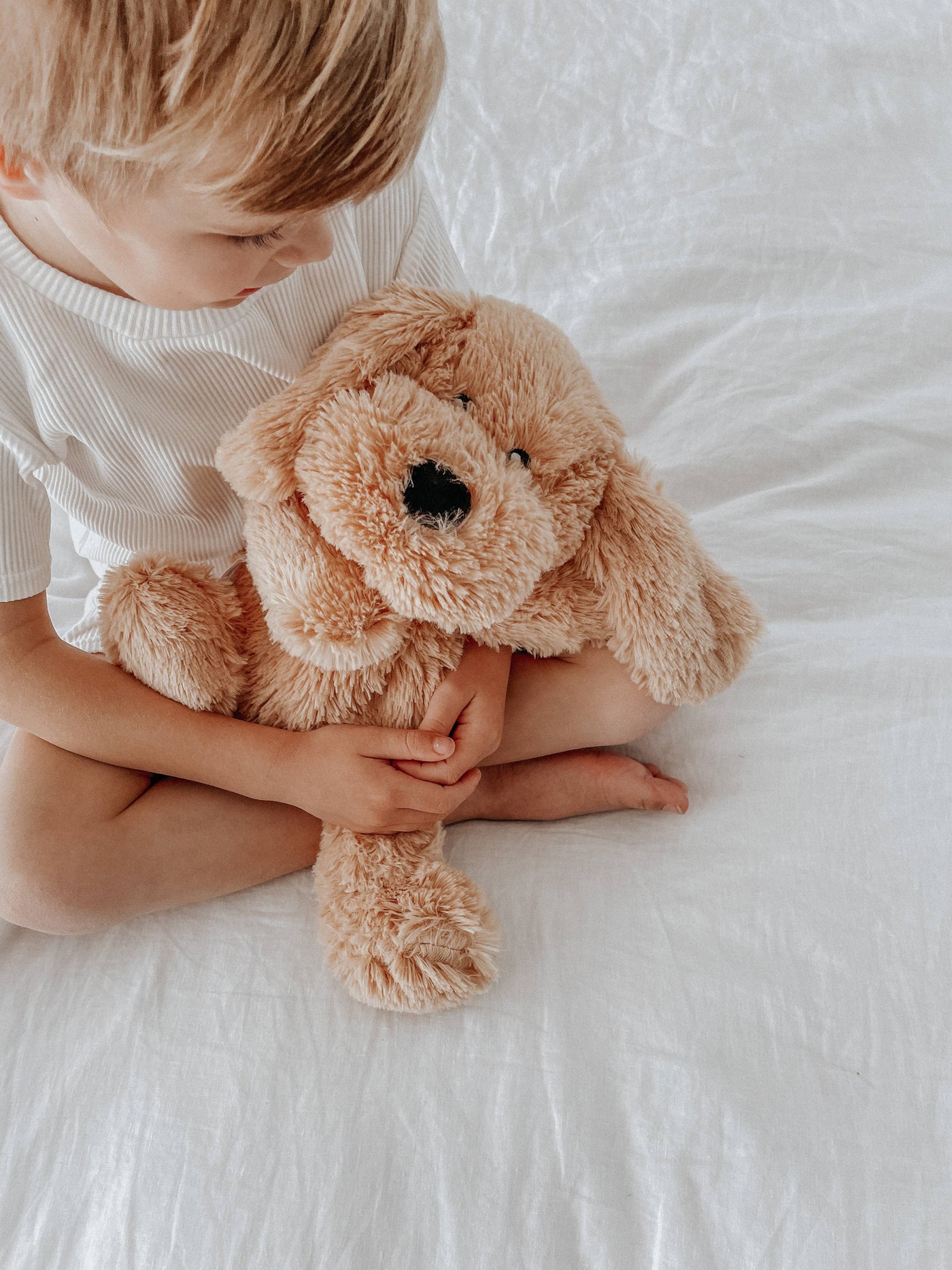 Charlie the weighted puppy dog, a calming sensory toy for toddlers