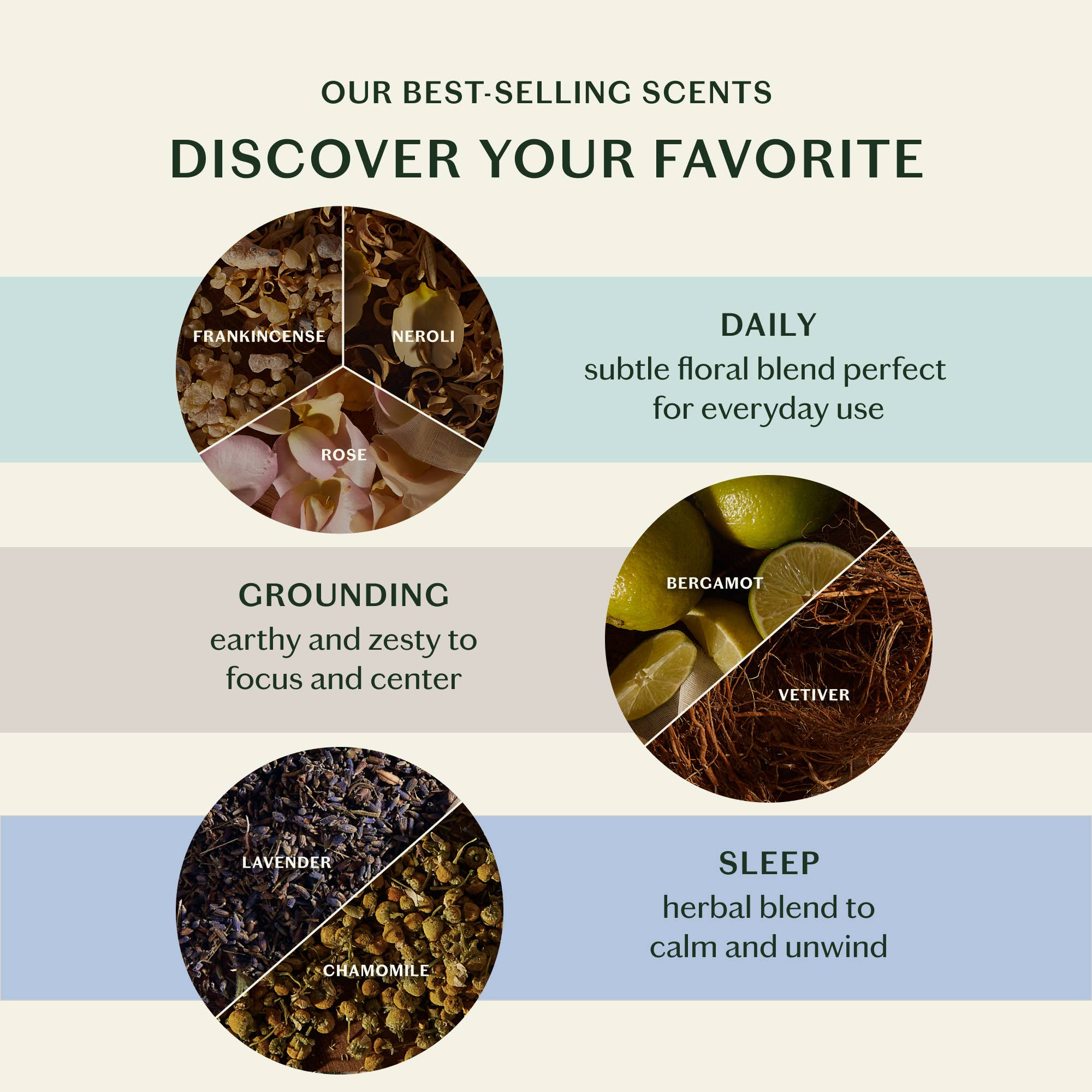 The Scent Discovery Set