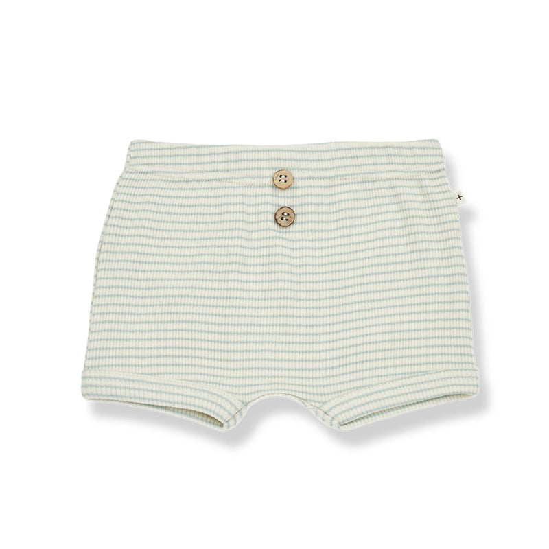 Salva Culotte - Pool