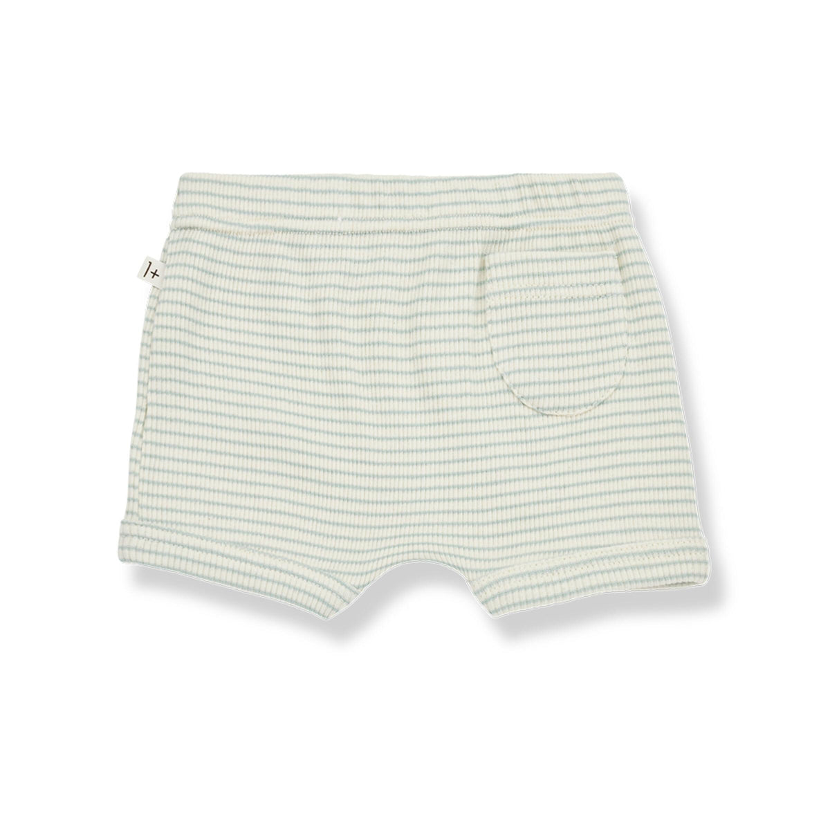 Salva Culotte - Pool
