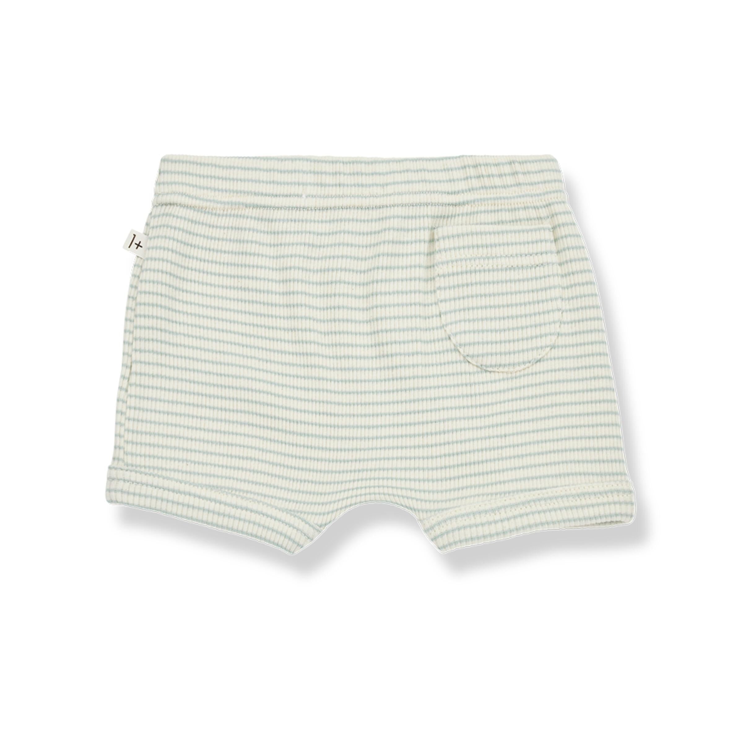 Salva Culotte - Pool