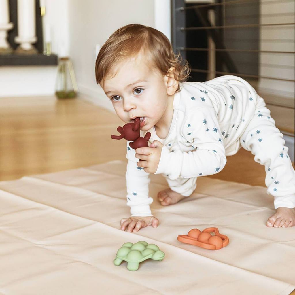 The Chew-ANT-ICIPATION™