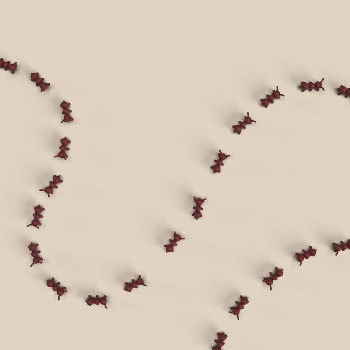 Born To Be Wild Bundle