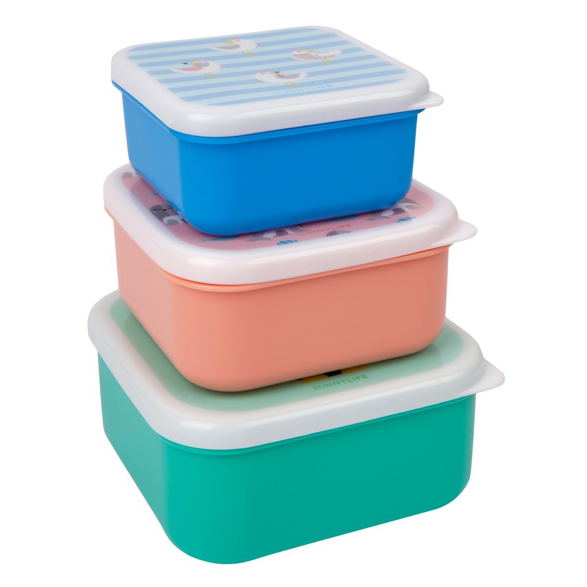 Nested Containers | Explorer