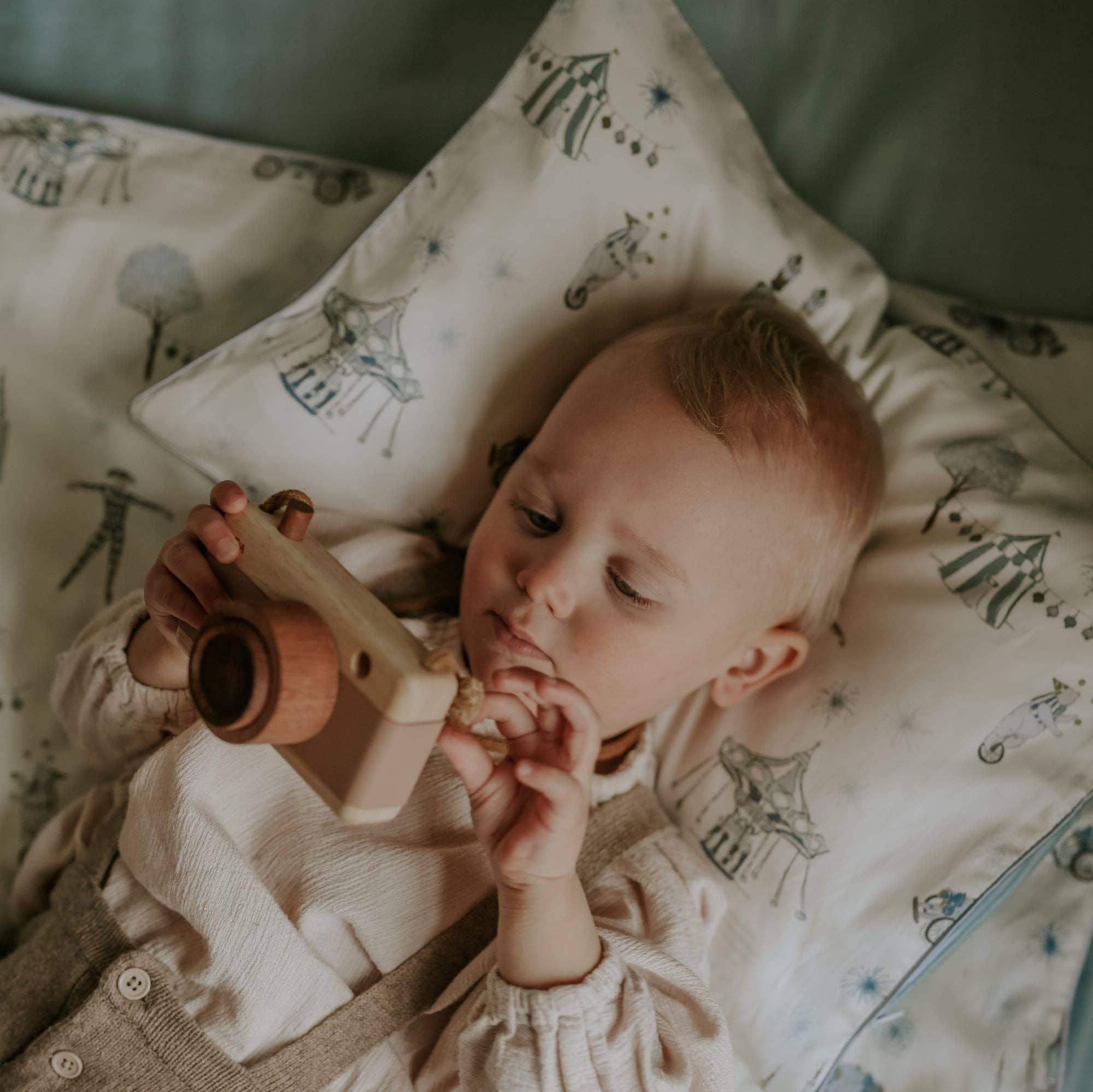 Adventures in Wonderland Toddler Pillow - Aqua: Set (Pillowcase + Down Insert)
