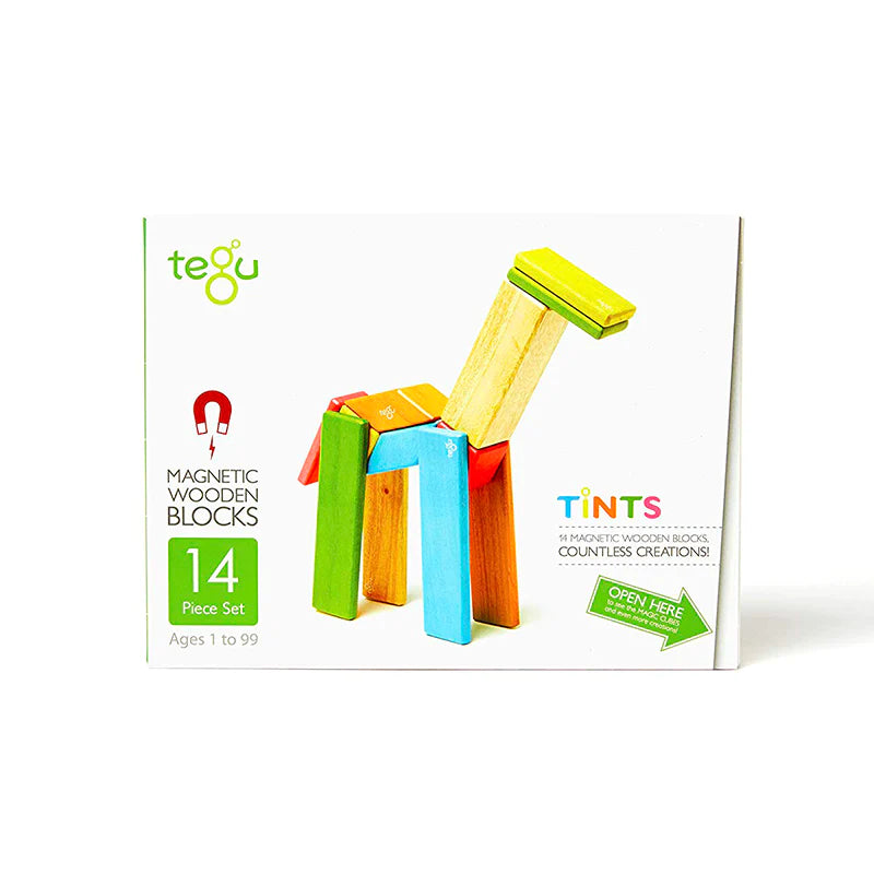 14 Piece Magnetic Wooden Block Set - Tints