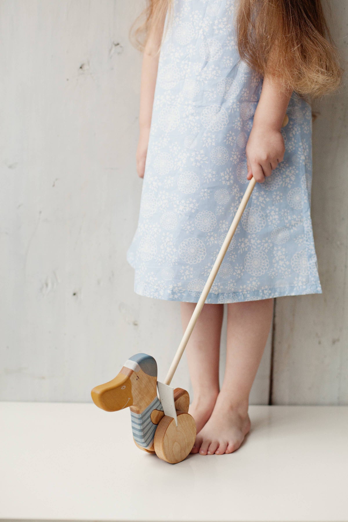Wooden Blue Duck Push Toy