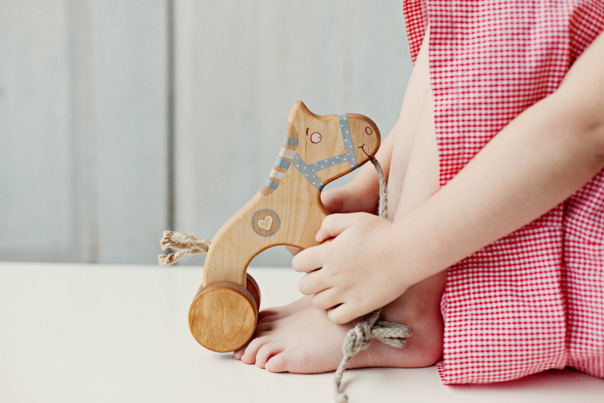 Handcrafted Birch Wood Blue Horse Pull Toy