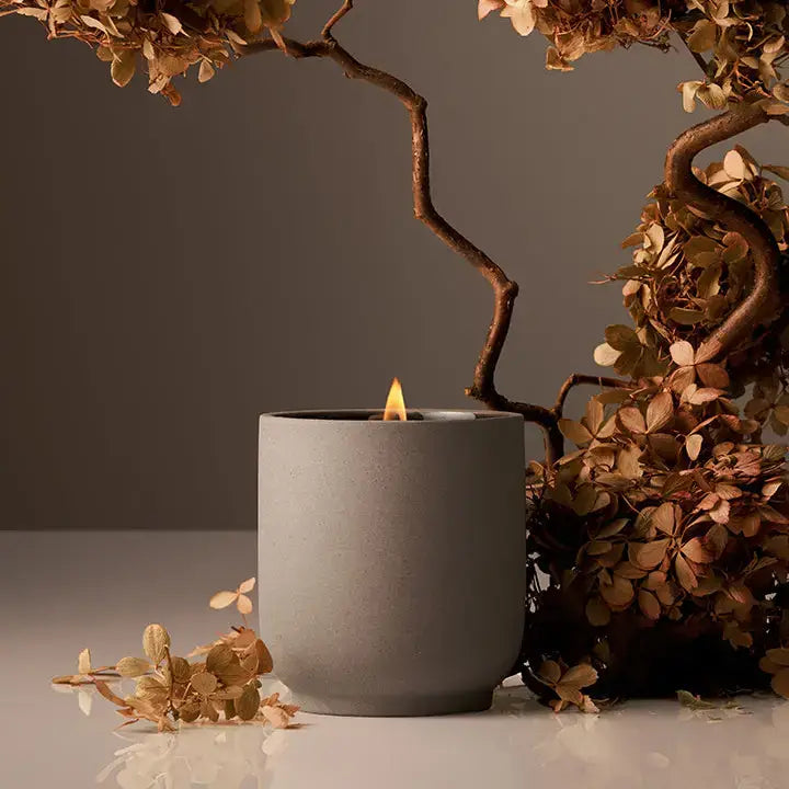 The Heirloom, Homecourt Signature Candle in Cece