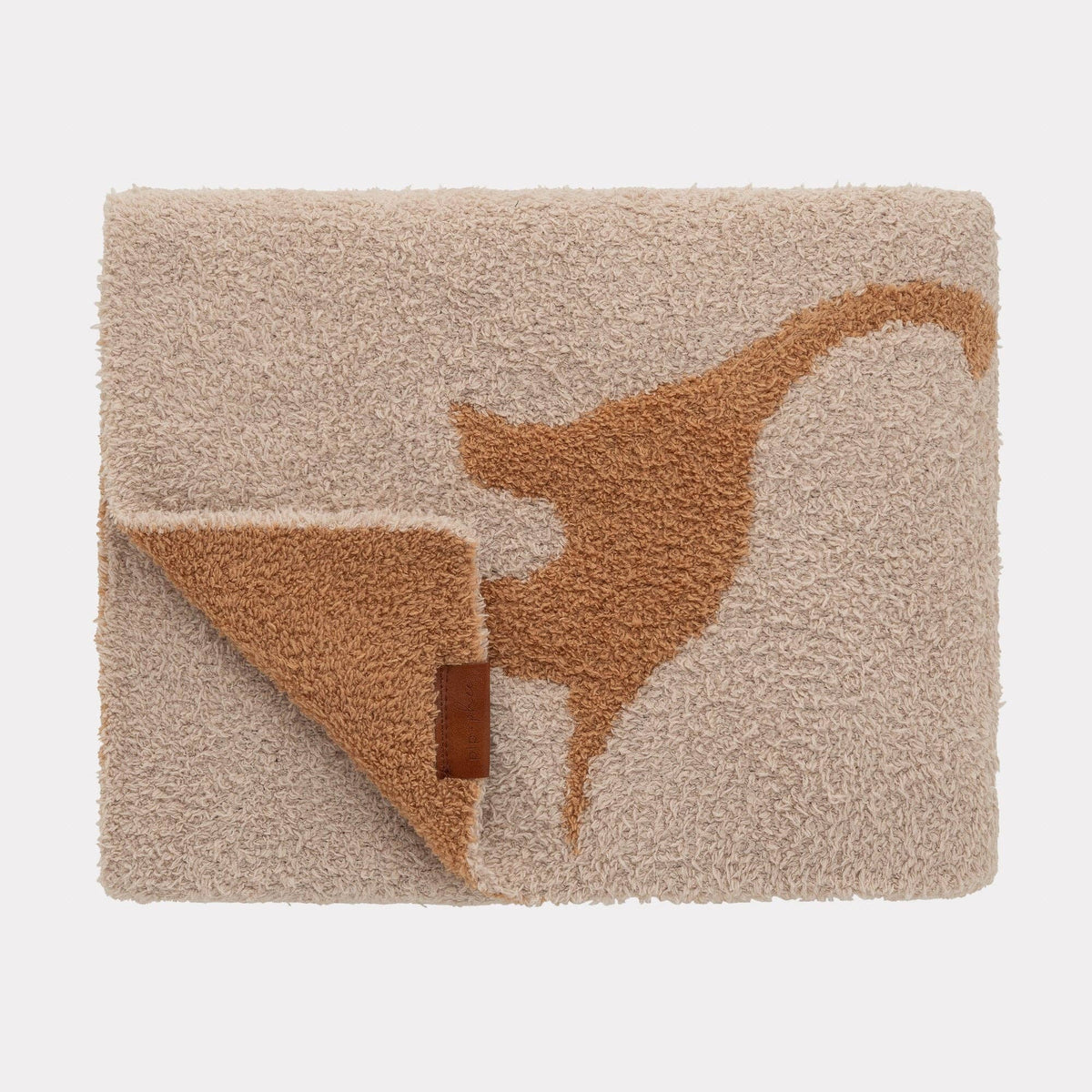 Plush Toddler Blanket, Desert Dinos