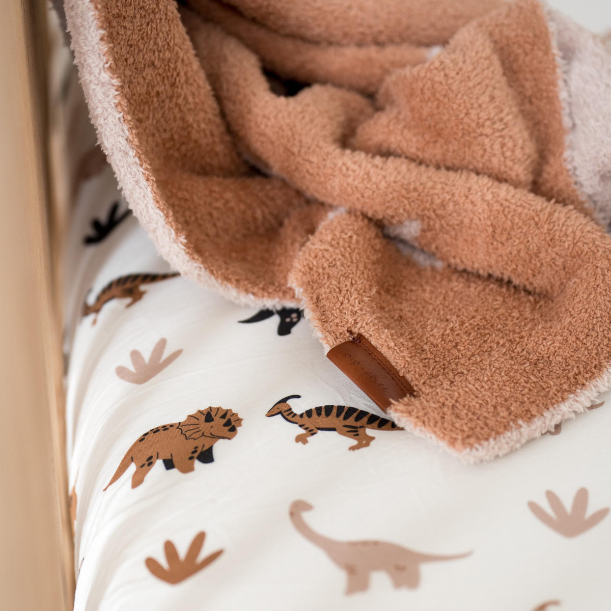 Plush Toddler Blanket, Desert Dinos