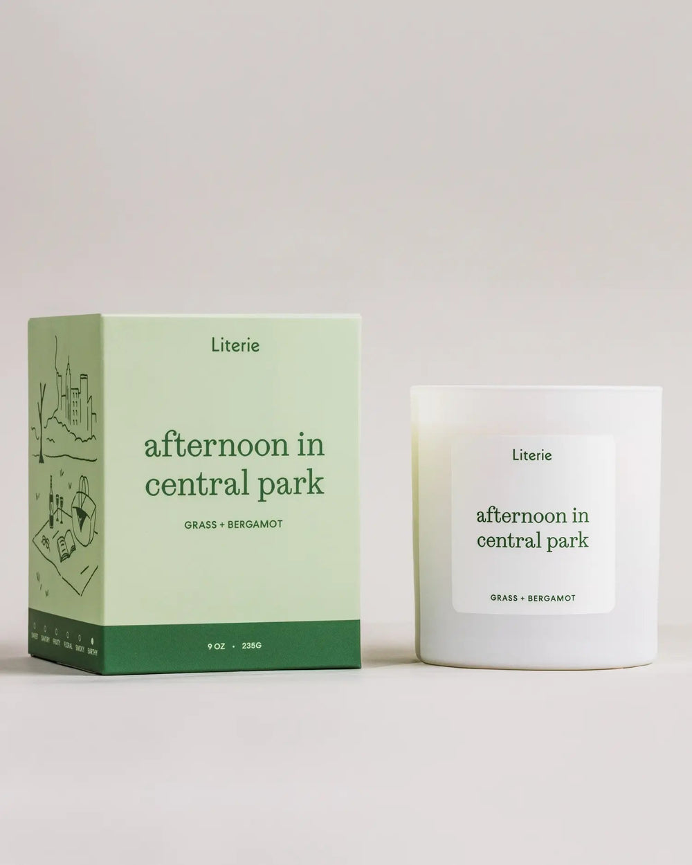 Afternoon In Central Park