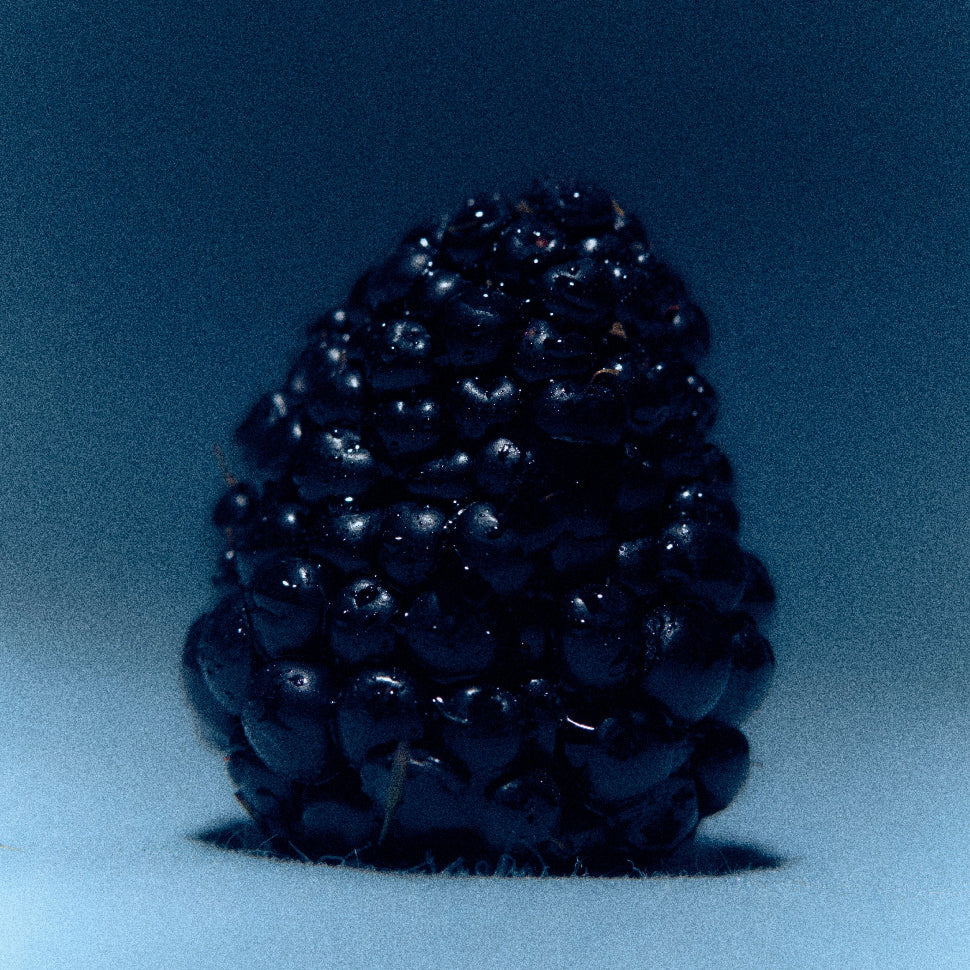 A blackberry, one of the notes in Moonrise in a Forest