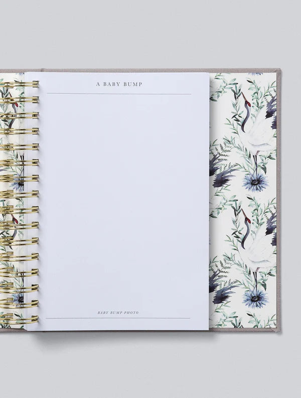 Bump. My Pregnancy Journal. Light Grey