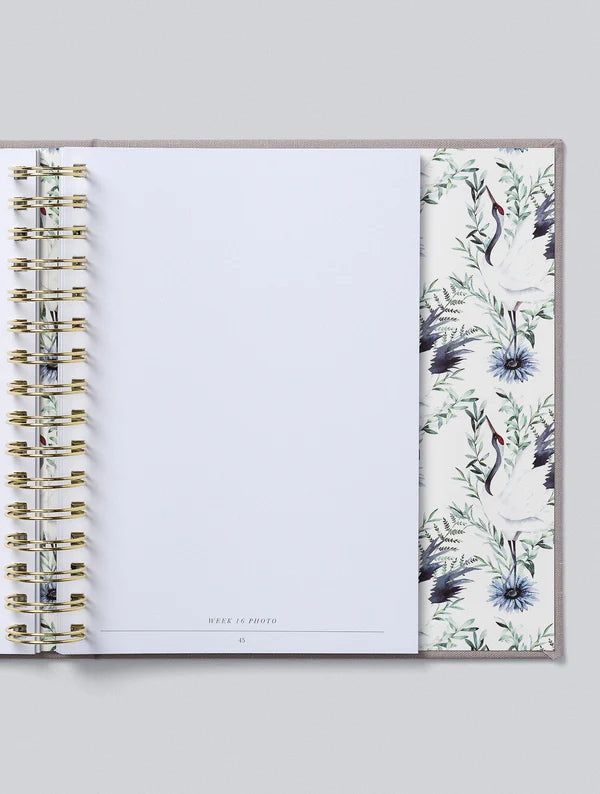Bump. My Pregnancy Journal. Light Grey