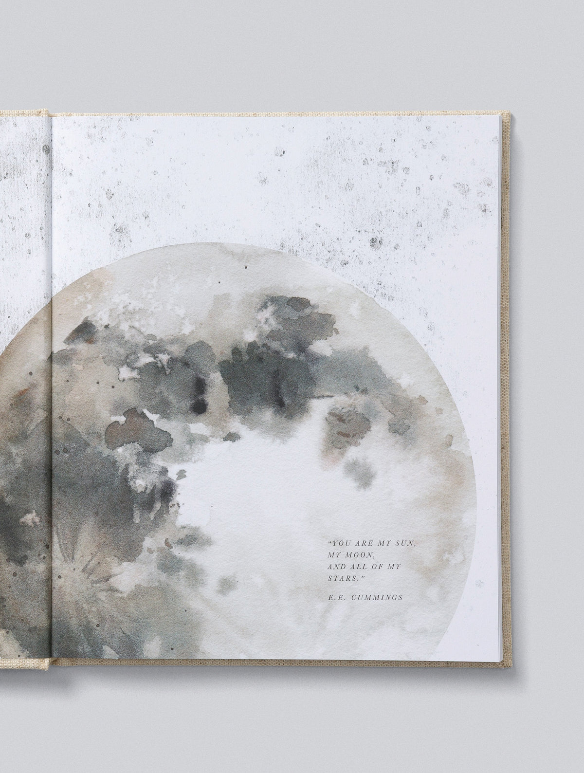 Illustrated endpapers