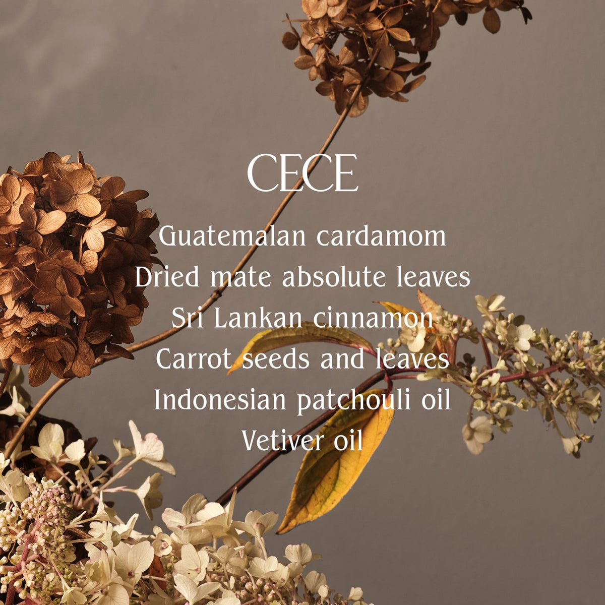 Homecourt Cece Hand Cream