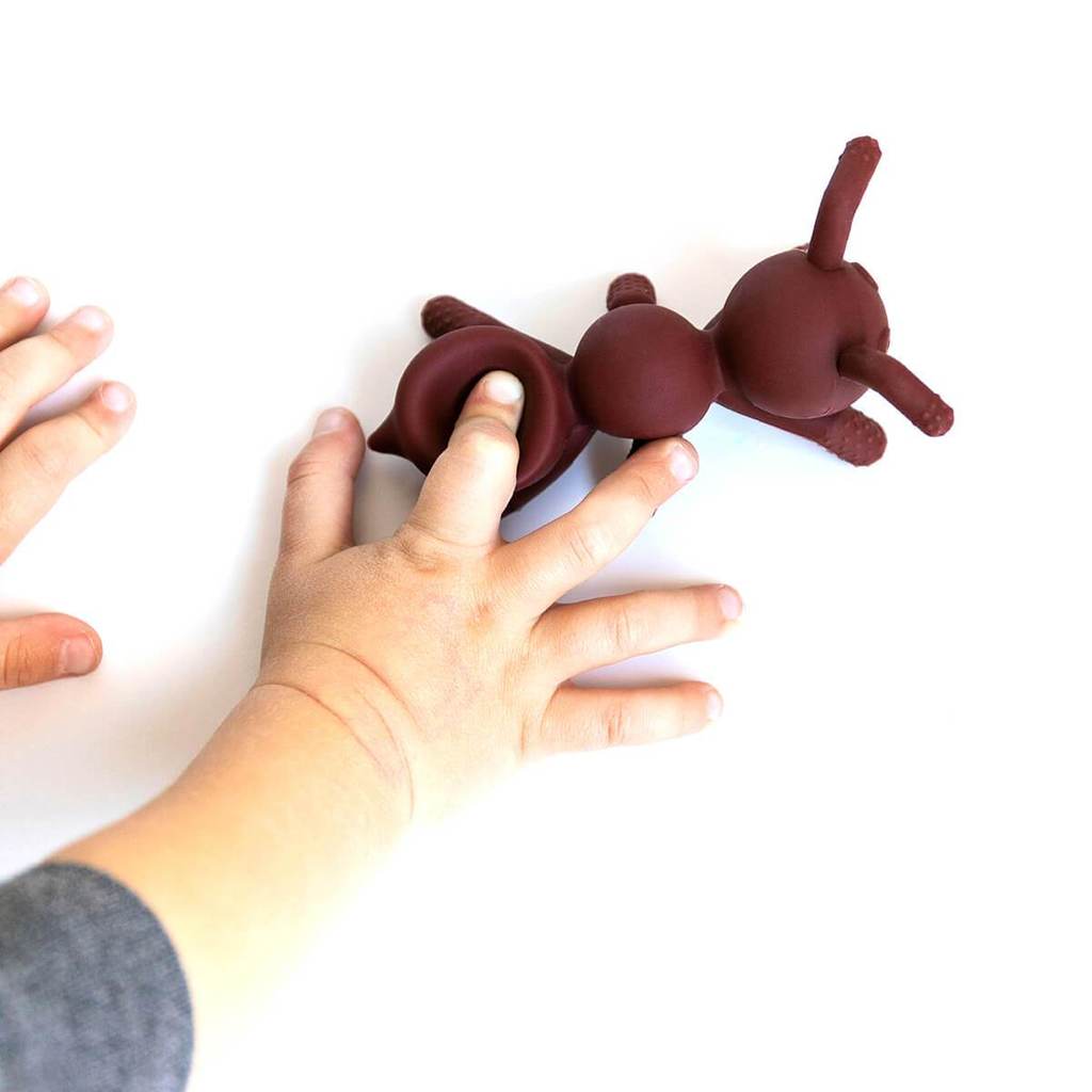The Chew-ANT-ICIPATION™